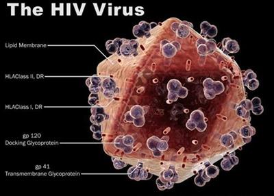 HIV实验室规划