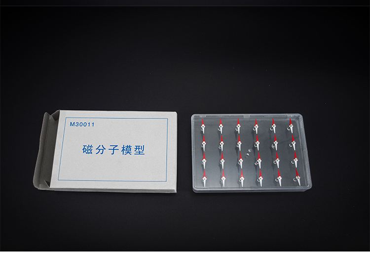 磁分子模型 磁分子模型