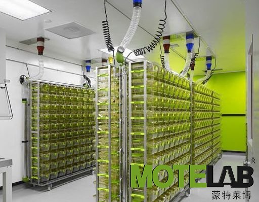 动物房实验室设计规划建设