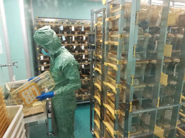 动物房实验室设计规划建设
