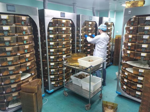 动物房实验室设计规划建设