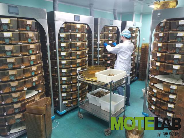 动物房实验室设计规划建设
