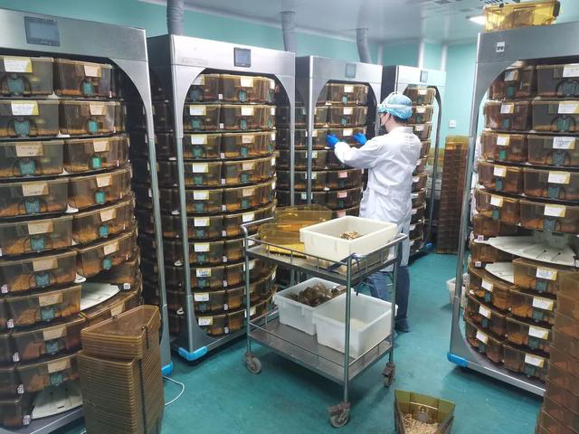 动物房实验室设计规划建设